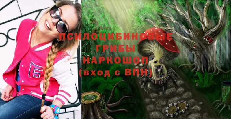 Псилоцибиновые грибы Magic Shrooms Губаха